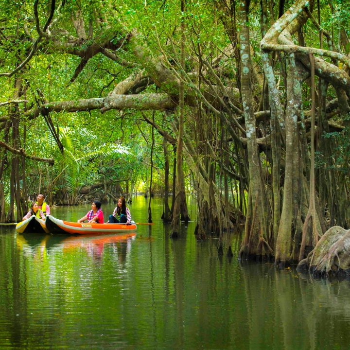 Kayaking in Khlong Sangne