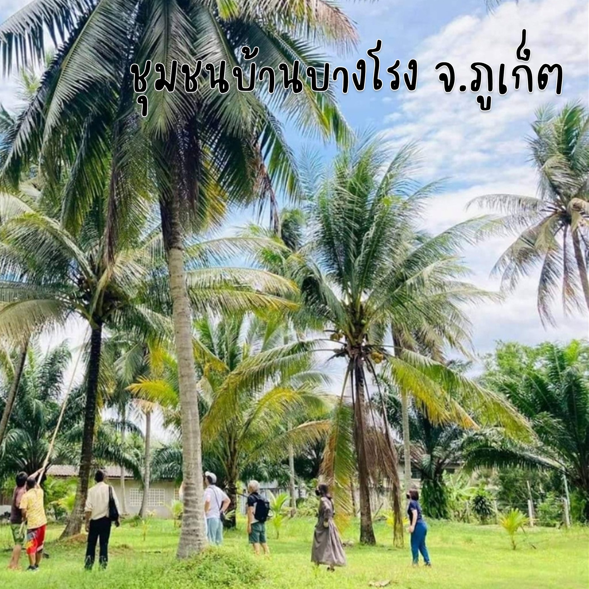 Three tourist communities on the Andaman