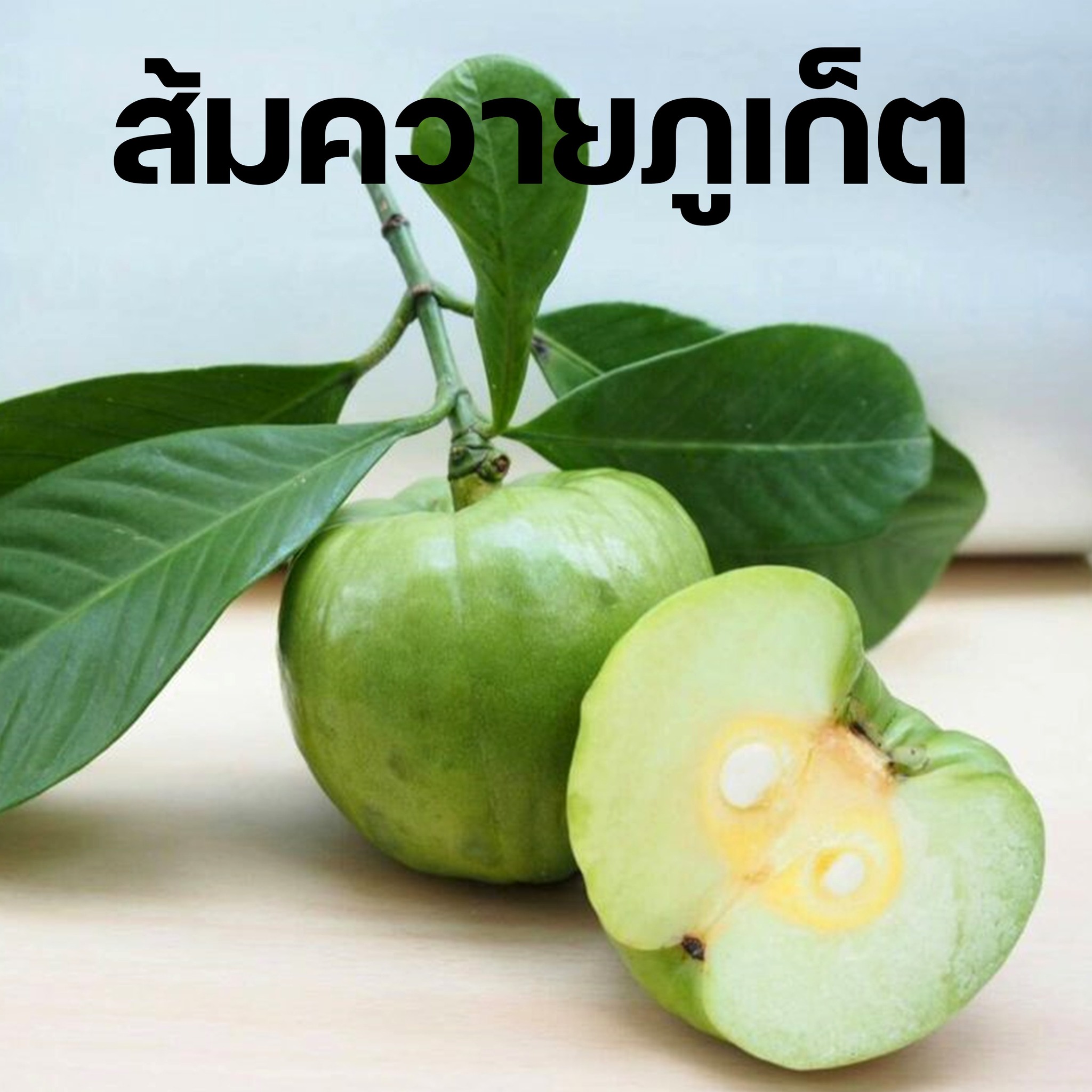 Visit Andaman Local Article visit-andaman-local-article