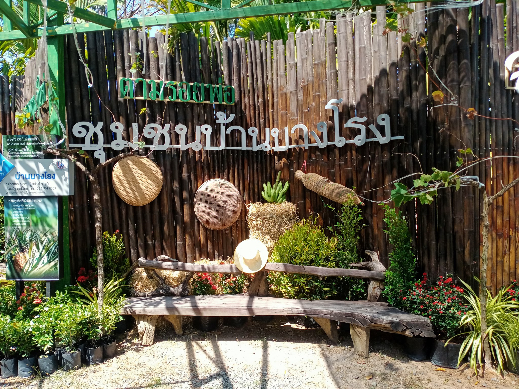 Discover the charm of Ban Bang Rong, a community-based tourism village in Phuket