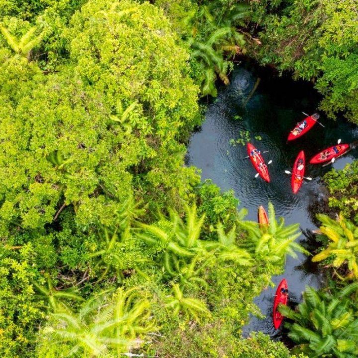 Krabi on the World Stage