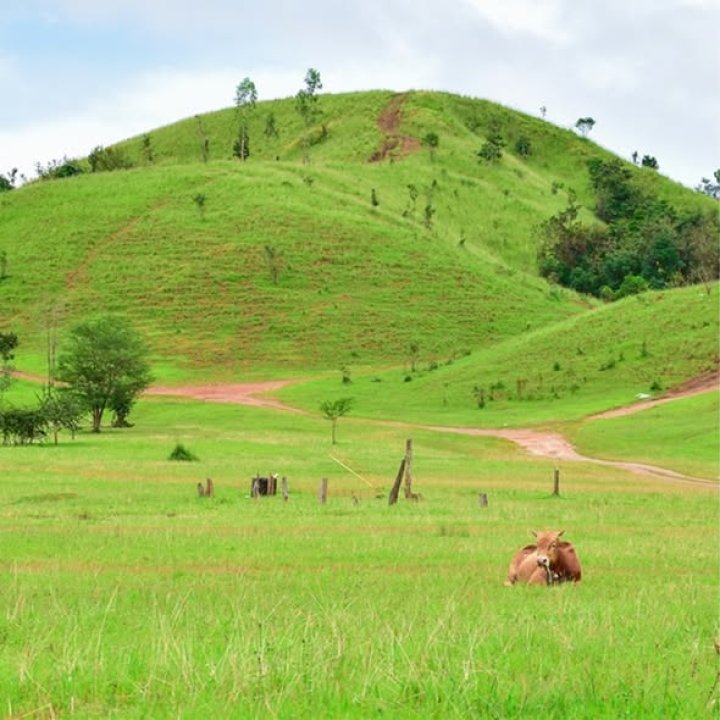 One Day Trip in Ranong - Choose Your Own Style