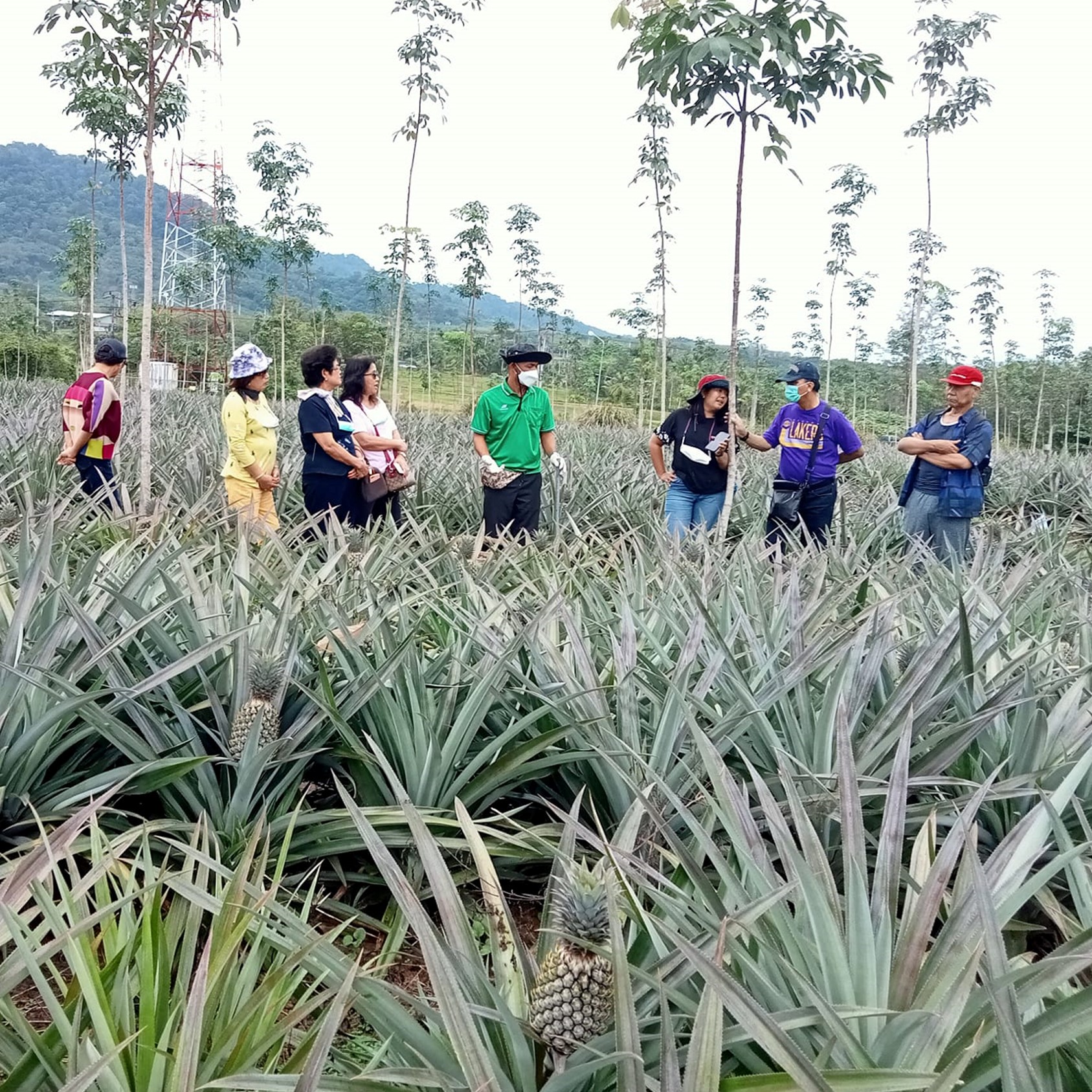 Half-day tour at Baan Bang Rong Community Based Tourism 