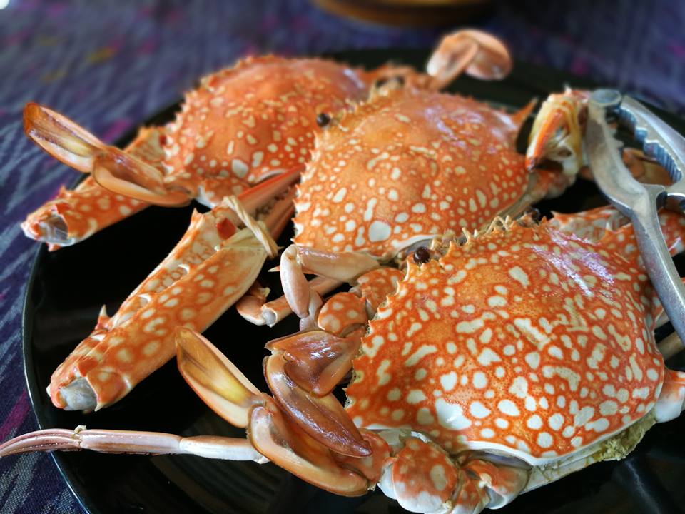 Phang Nga… Beautiful Seas, Green Hearts on the Andaman Coast