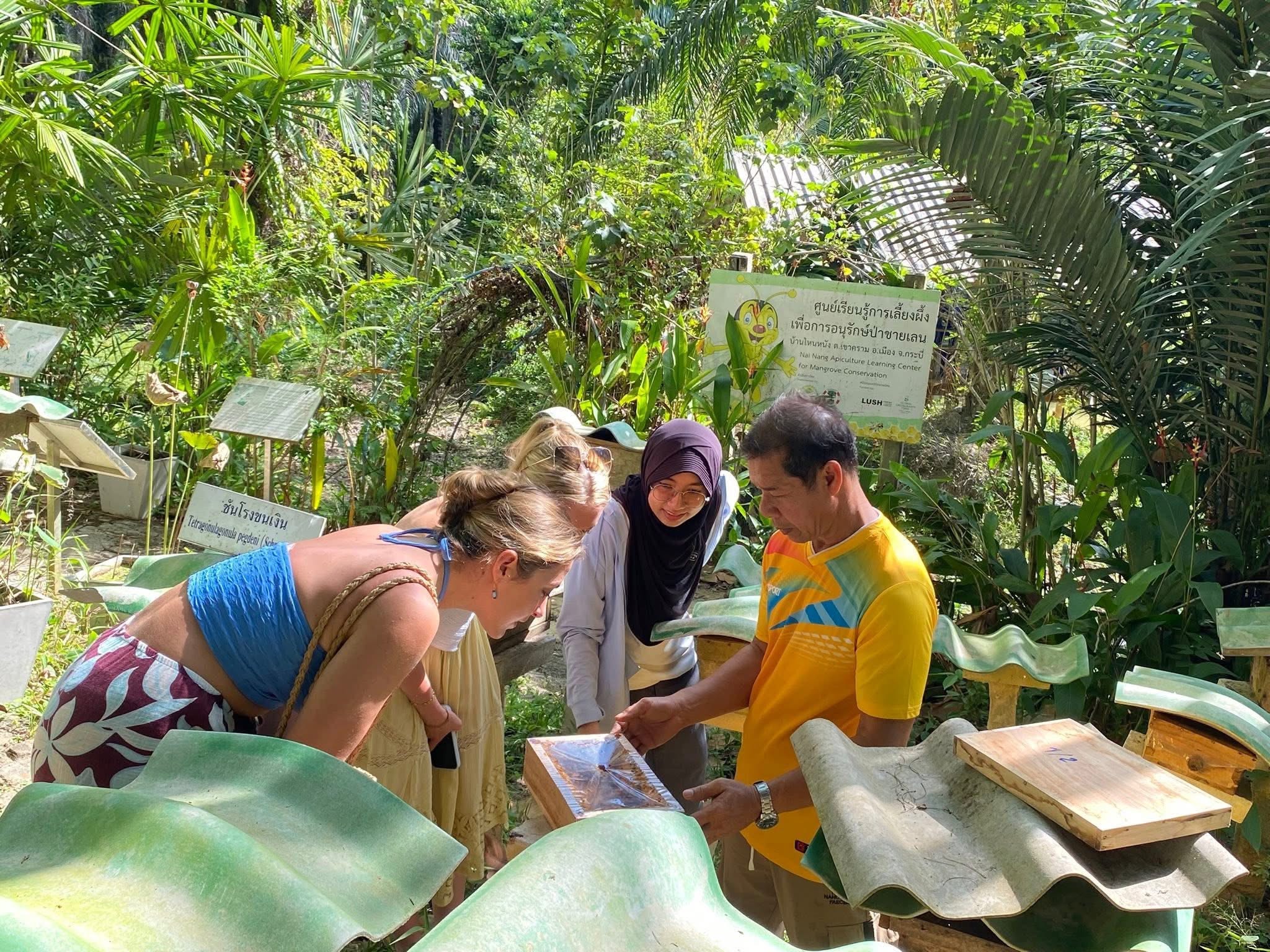 High Sweetness, Low Carbon! Meet the Tiny Superheroes of Ban Nai Nang, Krabi