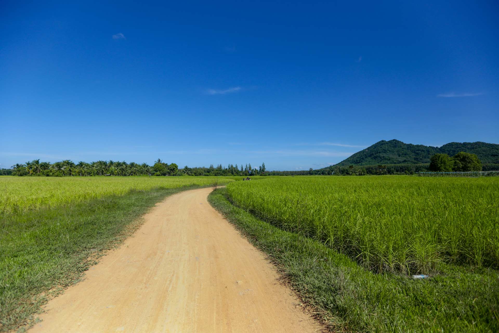 ชุมชนบ้านน้ำจืด สวรรค์บนท้องทุ่งนา มีกิจกรรมอะไรบ้าง?