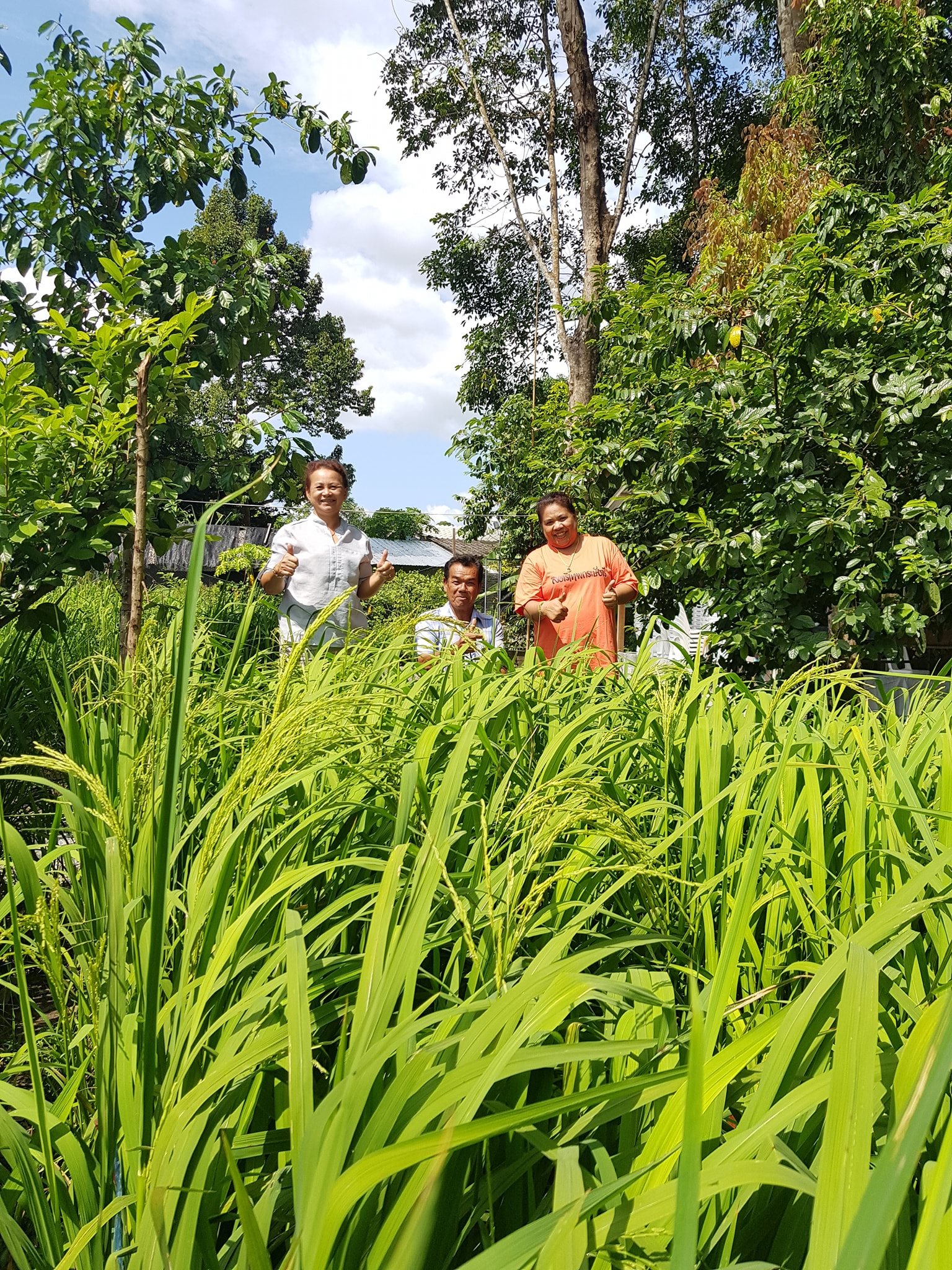 Baan Lipon Tai community and beliefs