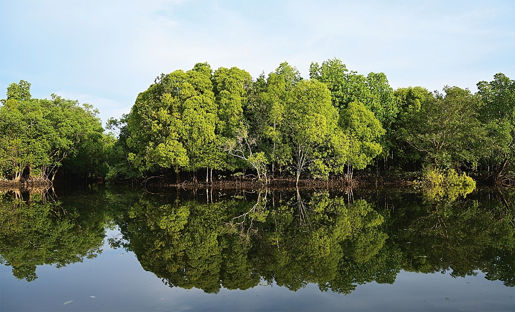 Ko Phra Thong, Savannah Grassland, Thailand