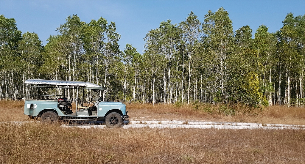 Ko Phra Thong, Savannah Grassland, Thailand