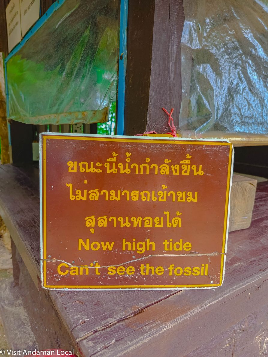 Low-Season Adventure: Exploring Krabi in Just One Day