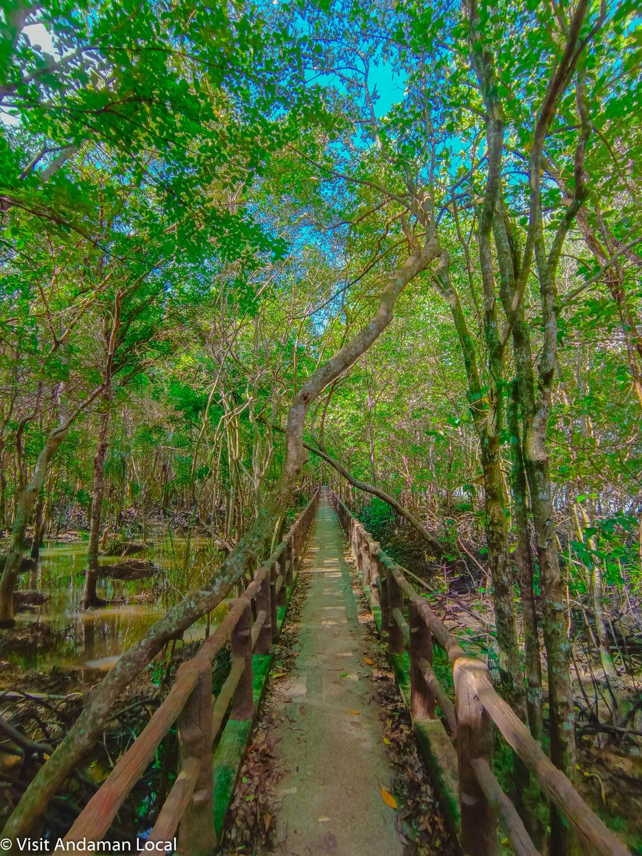 Low-Season Adventure: Exploring Krabi in Just One Day