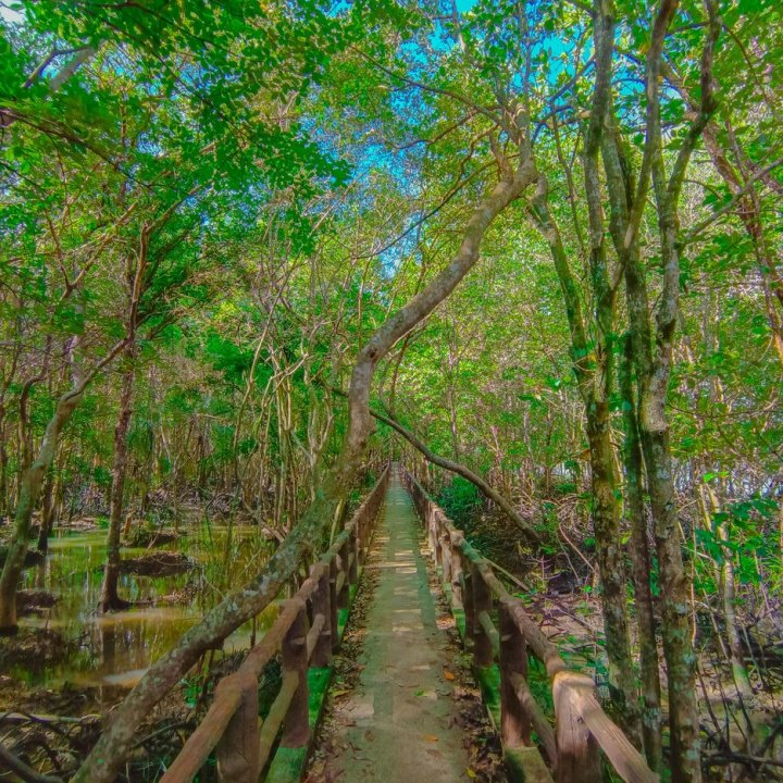 Krabi Urban Forest