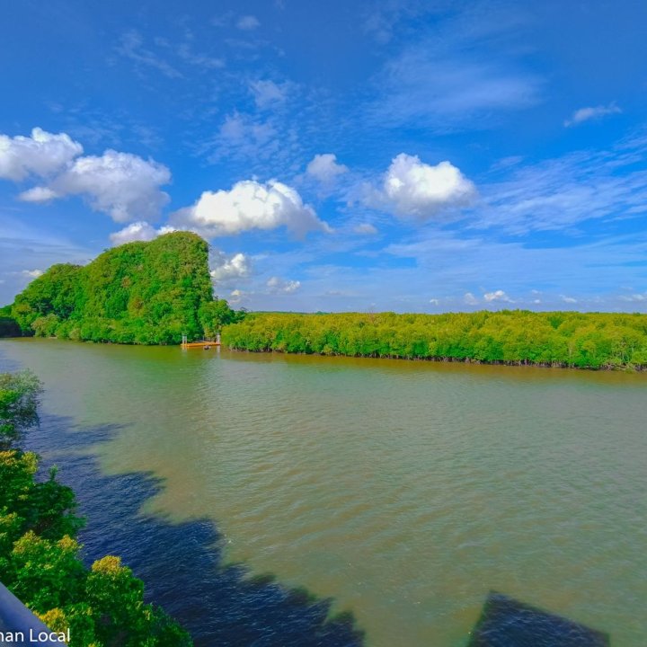 Krabi Urban Forest