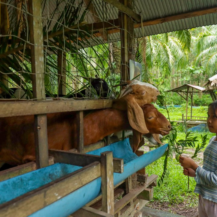 Baan Nateen Community Based Tourism