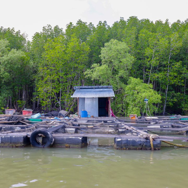 Ao Luek Noi Community Activities - Tree Top Adventure Park