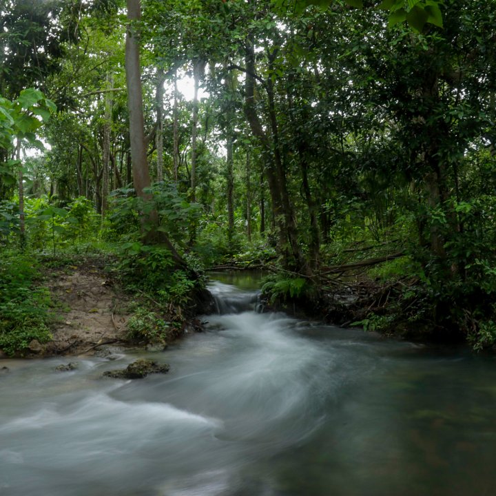 Baan Nong-Thale Community Based Tourism Activities - Baan Nong-Thale Tour