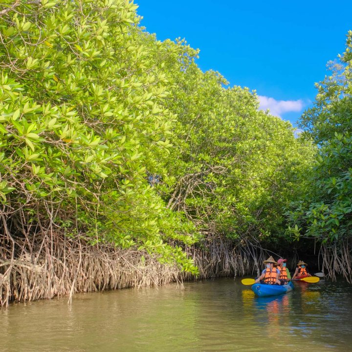 Baan Tha Din Dang Community Based Tourism Activities