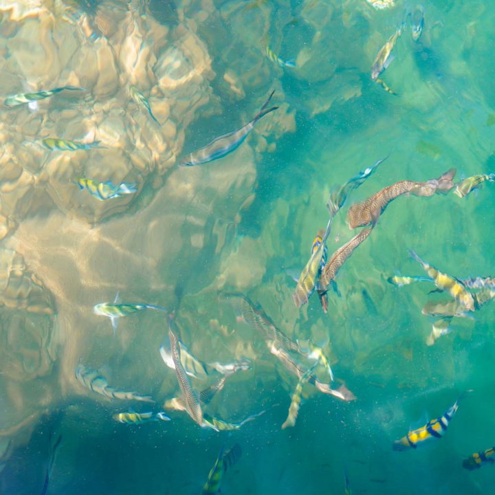  Koh Yao Noi Community Based Tourism Activities 1 Day