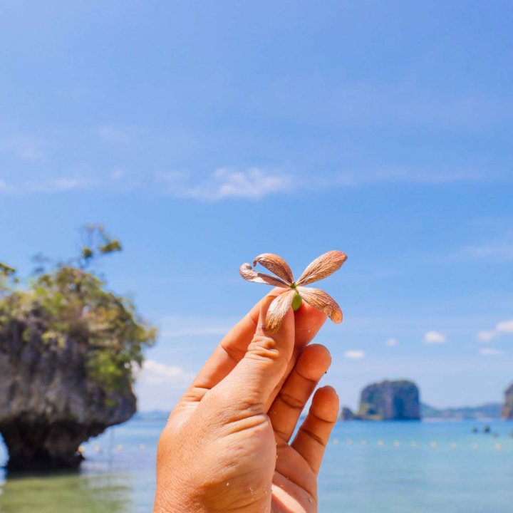  Koh Yao Noi Community Based Tourism Activities 1 Day