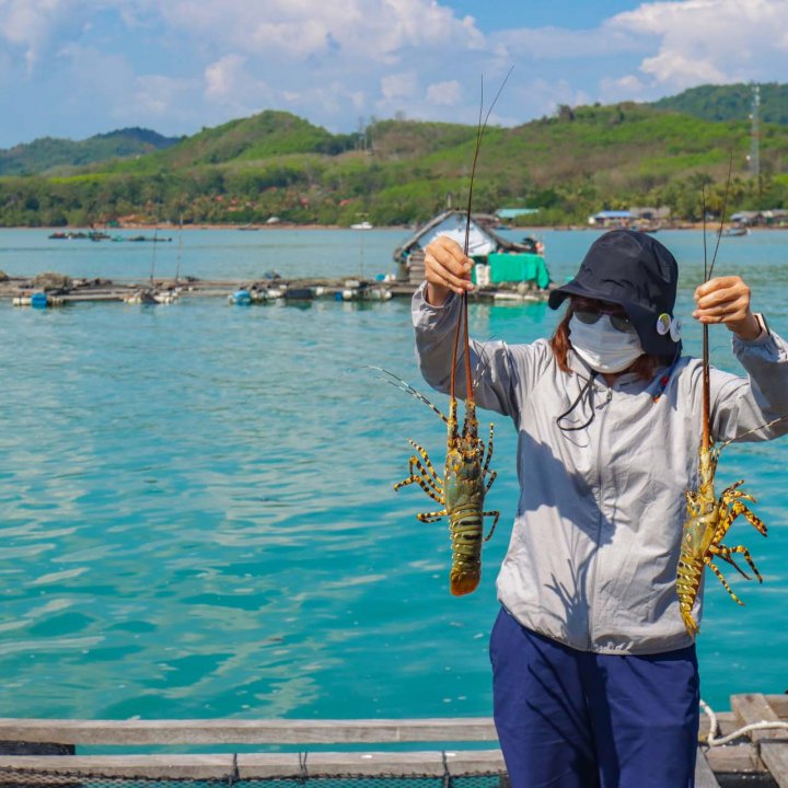  Koh Yao Noi Community Based Tourism Activities 1 Day