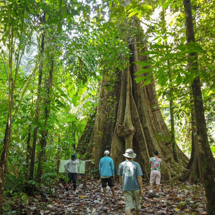  Koh Yao Noi Community Based Tourism Activities 1 Day