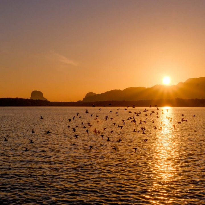 Sam Chong Nuea Community Based Tourism Activities - Phang Nga Bay 2