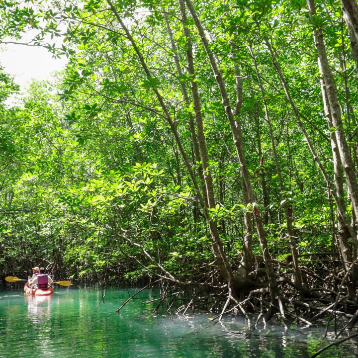 Baan Tha Chatchai Community Based Tourism - Lifestyle Activities