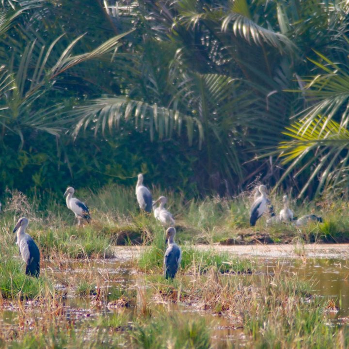 Baan Tha Khao Community Based Tourism Activities - Koh Ku Du