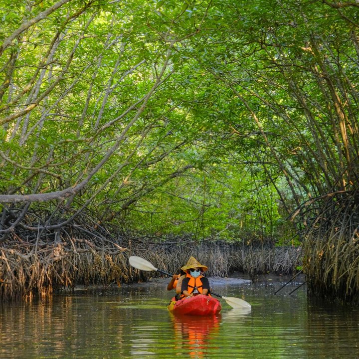 Baan Tha Din Dang Community Based Tourism Activities - Kayaking 