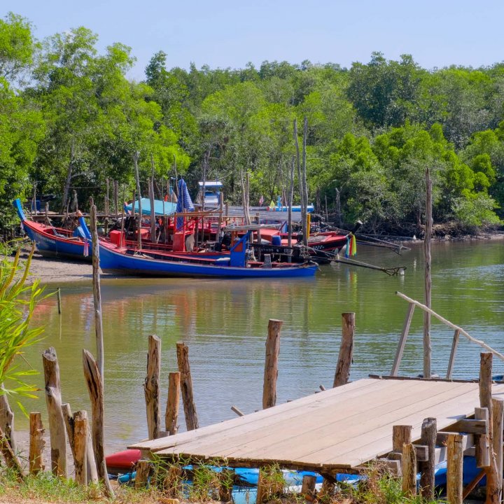 Baan Tha Din Dang Community Based Tourism Activities - Snorkeling