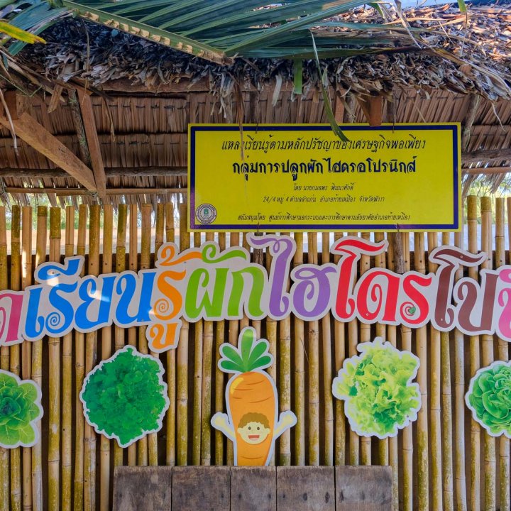 Baan Tha Din Dang Community Based Tourism Activities - Visiting the hydroponics vegetable garden