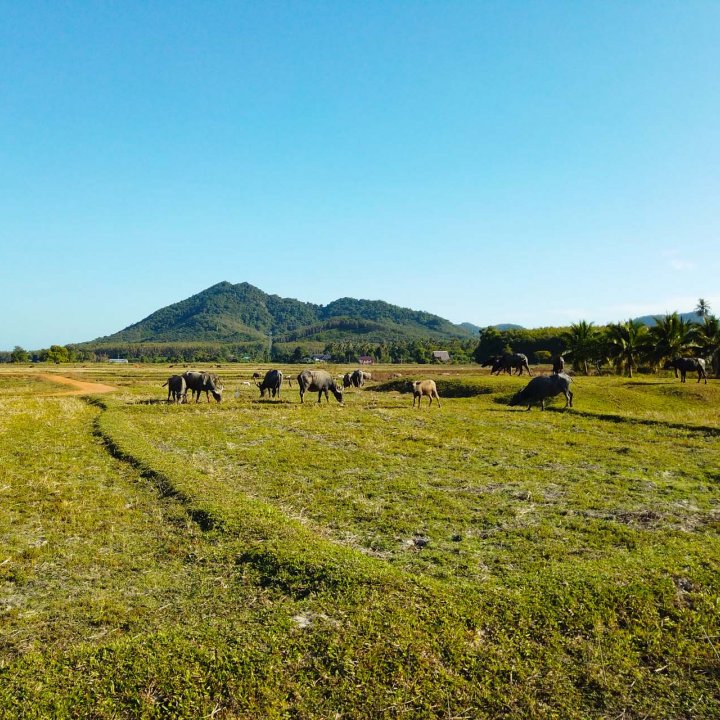 Baan Nam Chuet Community Based Tourism Activities - Touring around Koh Yao Noi by car